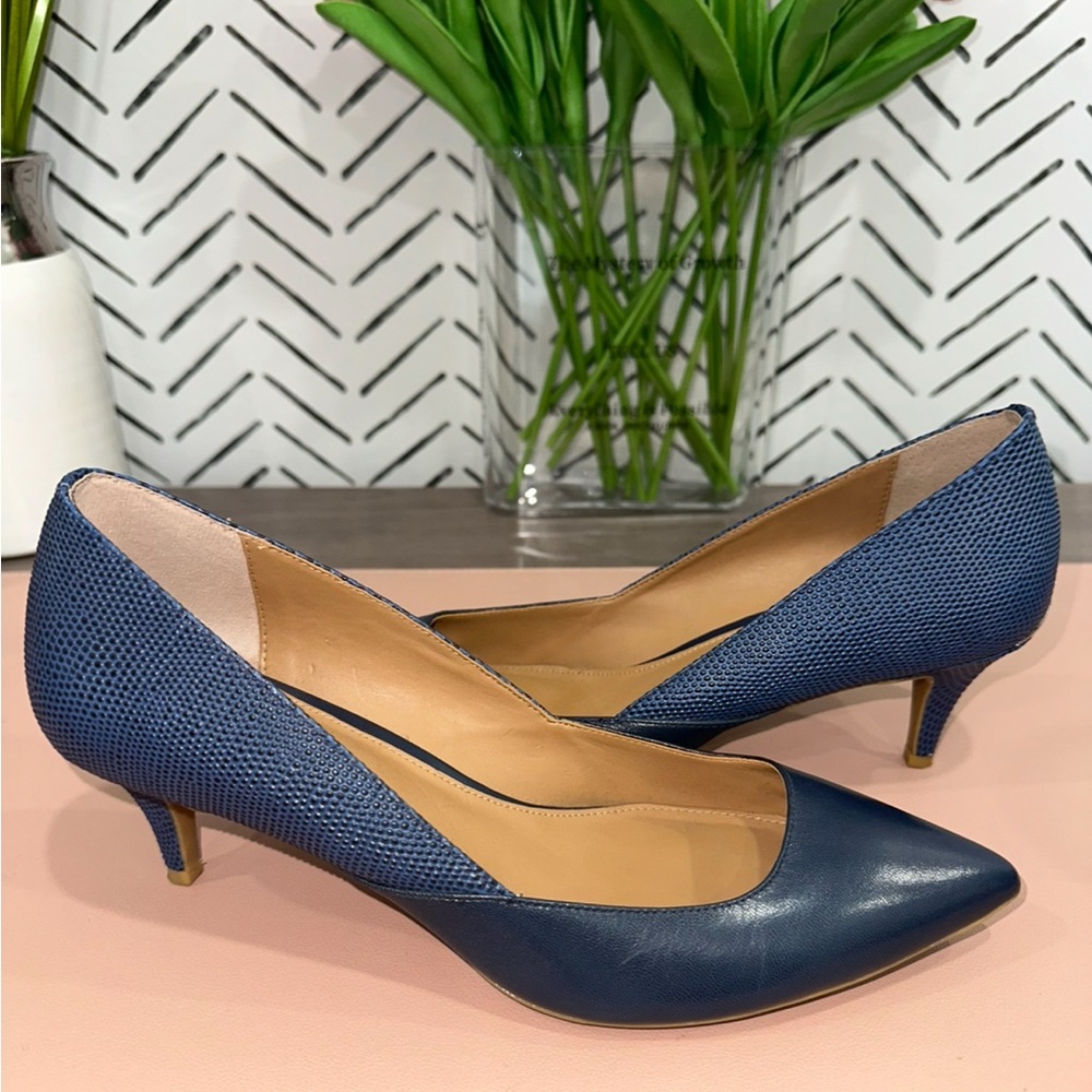 Calvin Klein Blue Kitten Heel Pumps – Pointed Toe – Size 7